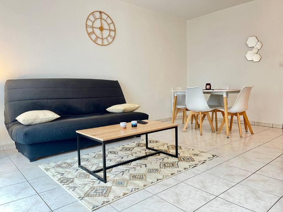 Apartment Lumineux T2/parking Prive-dabnb